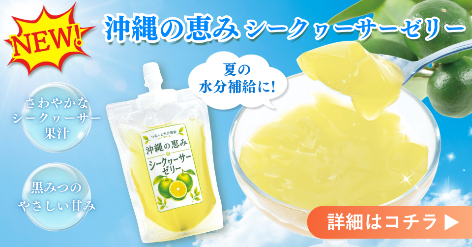 https://www.4193honpo.jp/wp/wp-content/uploads/2026/06/ゼリーオレンジ.png