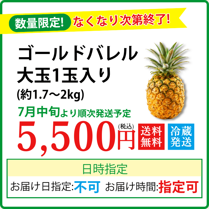 ゴールドバレル大玉1玉入り(約1.7~2㎏)