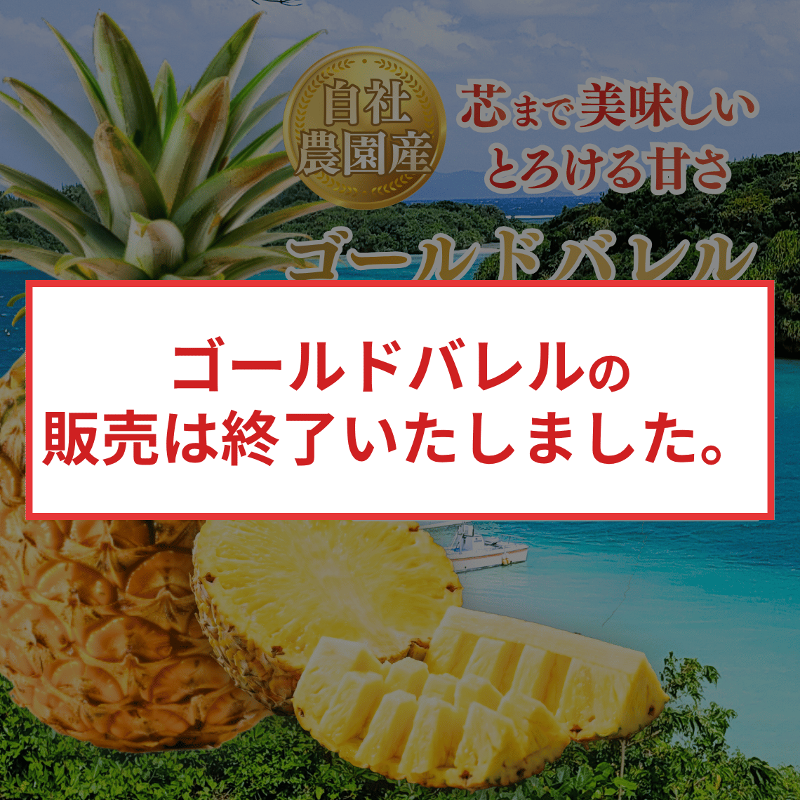 『ゴールドバレル』の販売は終了いたしましたメイン画像1